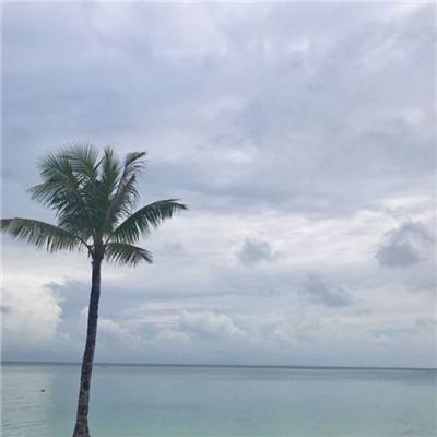剑缘苍穹手游下载