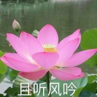 一品仙门手游下载
